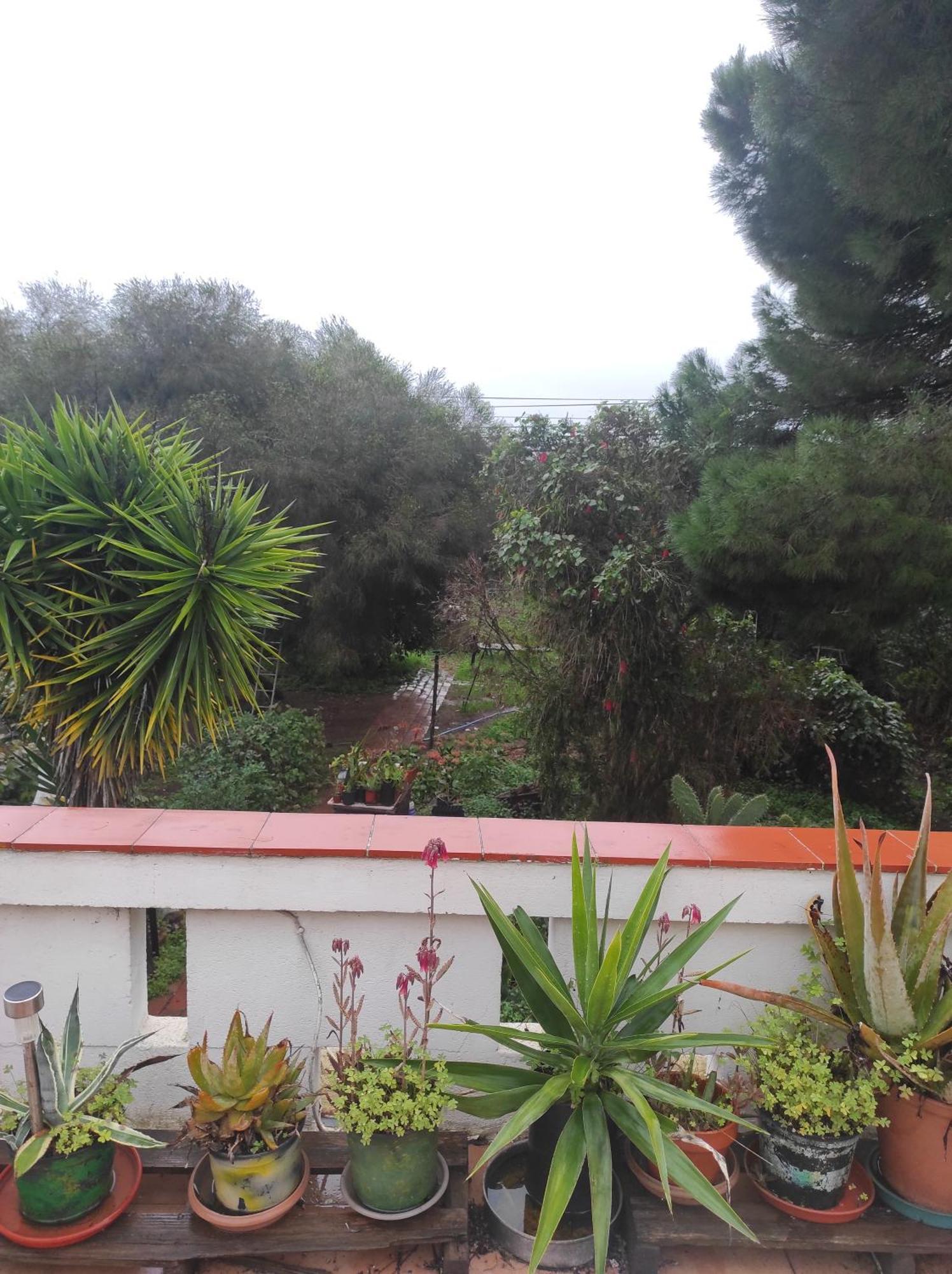 Casa Da Cabana บูเดนส์ ภายนอก รูปภาพ